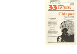 Revista El diario de las chicas n° 33