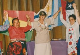 Fondo Institucional Alieda Verhoeven GEM